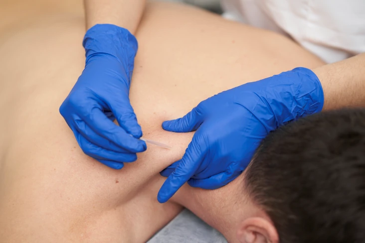 punsion-seca-en-puerto-vallarta